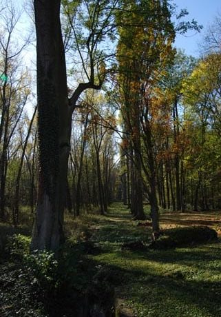 Naučná stezka Slatinná louka – zámek Liblice