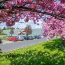 Co navštívit v České Lípě