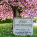 Co navštívit v České Lípě