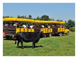 V Chomutově se budete během dovolené bavit