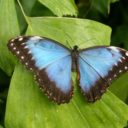 Kam v Praze s dětmi