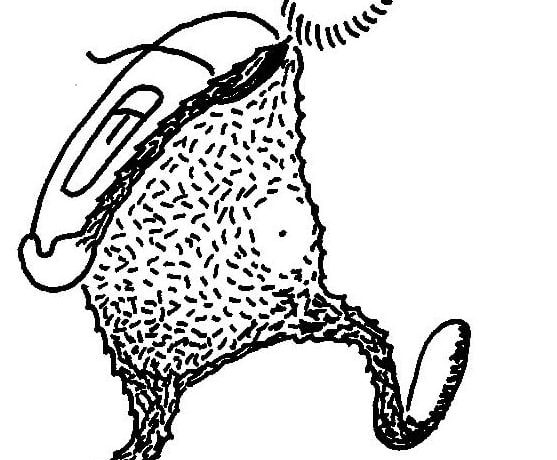 Po českých horách chodí Jetík. Nekouše, ale pomáhá