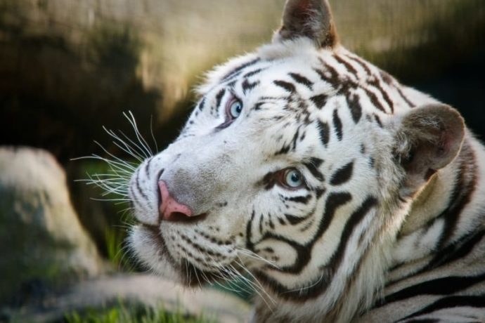 Kam na výlet s dětmi