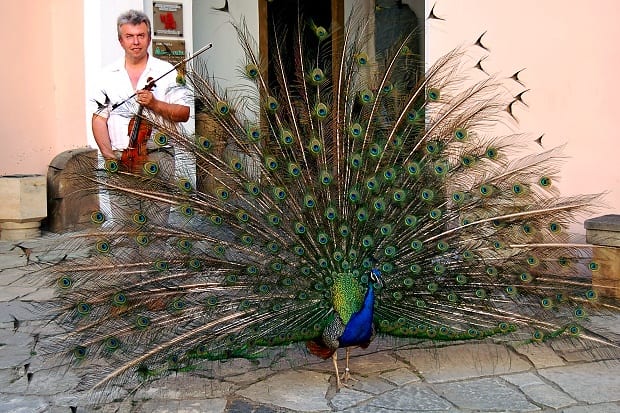 Jaroslav_Sveceny_s_pavem