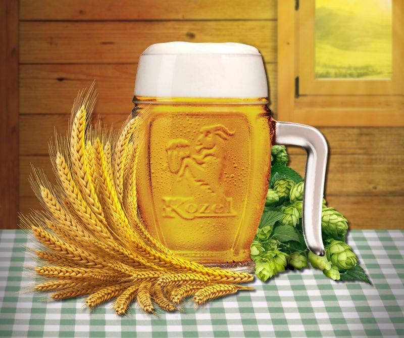 VPK_nefiltr 2013_FINAL lowres