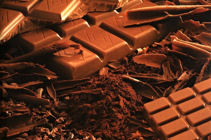 kam s dětmi na výstavu