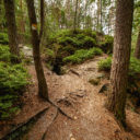 Městské lázně Mšeno: zastavil se tu čas?