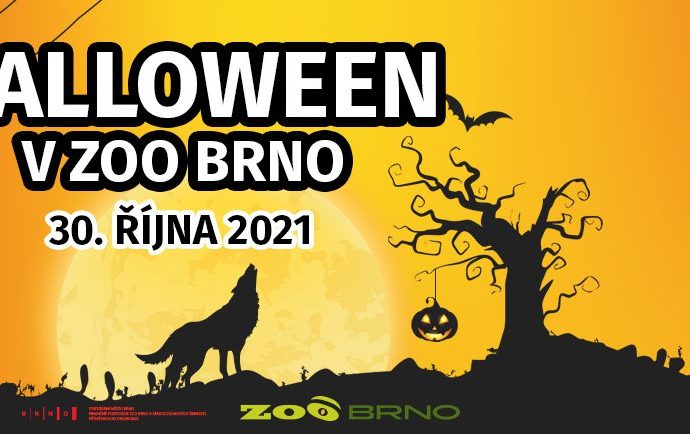 Halloween v Zoo Brno