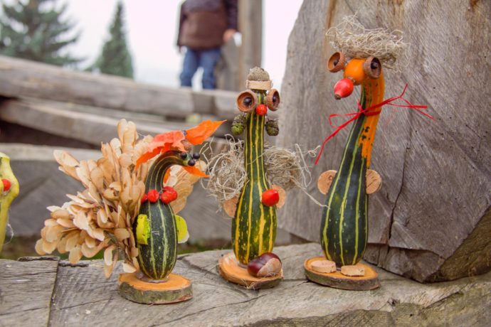 Dýňové hrátky v Botanické zahradě