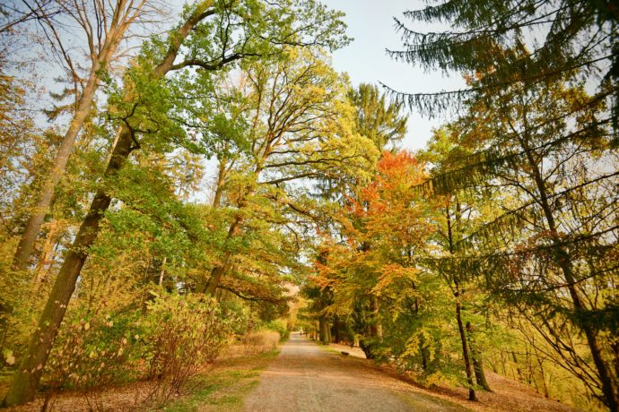 Den Středočeského kraje 2021