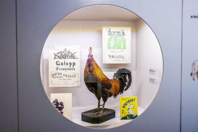 Hudební zvěřinec – výstava, kde se hudba prolíná s říší zvířat