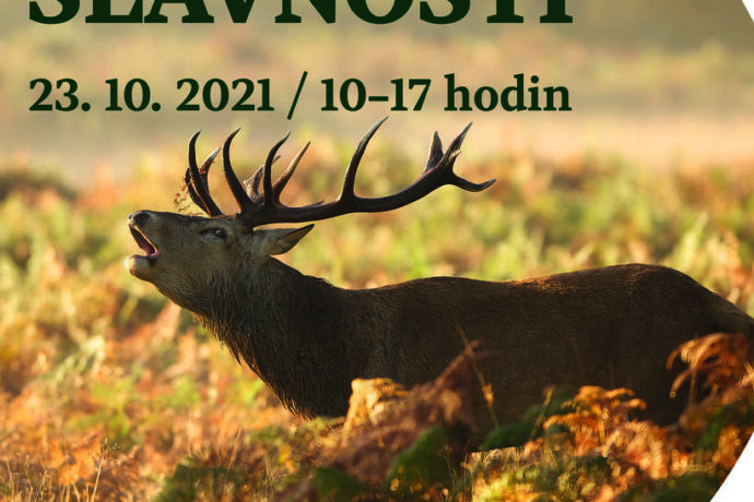 Myslivecké slavnosti s loveckými psy, dravci i laserovou střelnicí