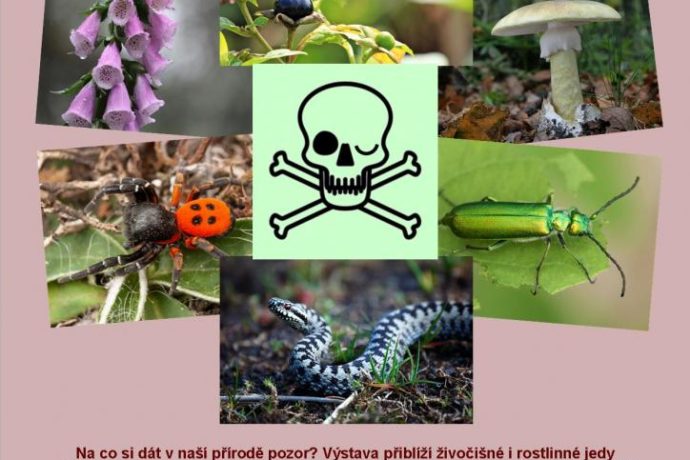 JEDU V JEDU – výstava nejen pro děti