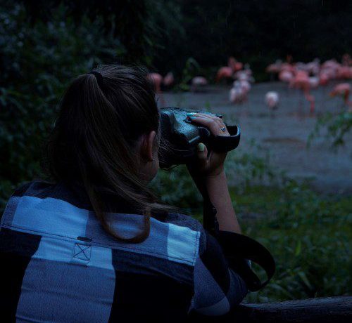 ZOO Praha – Noční výprava s termokamerou