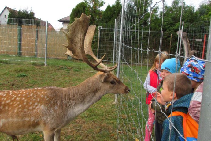 Na výlet za zvířátky
