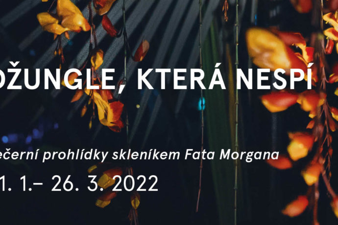 Džungle, která nespí