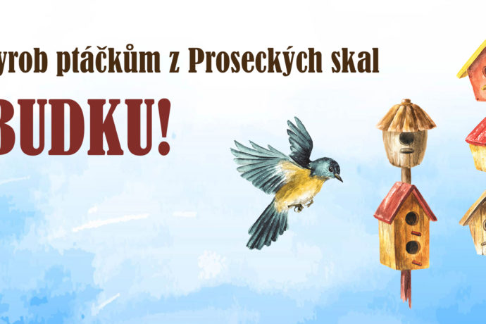 Vyrob budku ptáčkům z Proseckých skal