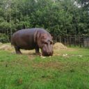 Prázdniny se zvířaty v ZOO Dvorec