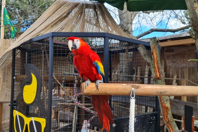 Záchranná Stanice Papouščí Ráj