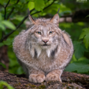 Zoologická zahrada Na Hrádečku