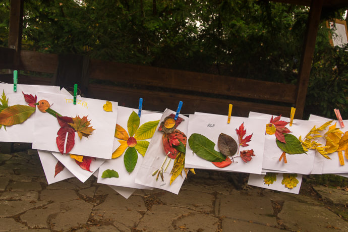 Den stromů v dendrologické zahradě