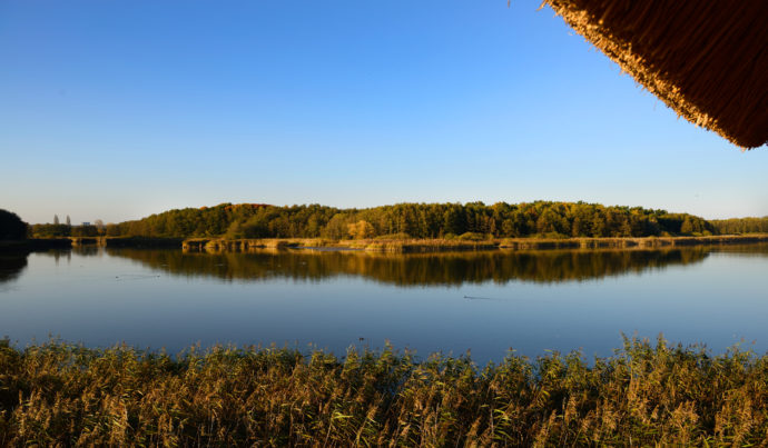 Bohdanečský rybník. Foto: ©TO Pardubicko