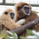 Svátky jara v Zoologické zahradě Dvorec