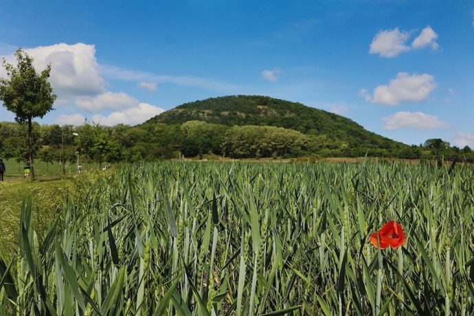 Foto: ©Spolek Cesta Česka