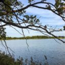 Památník bitvy u Sudoměře