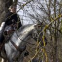 Památník bitvy u Sudoměře