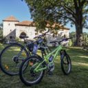 Gotické tvrze Kestřany