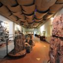 Městské muzeum Nová Paka