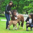 Miniaturpark Boheminium – ideální tip na rodinný výlet
