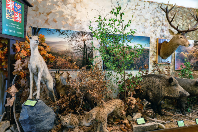 Foto: ©Česká Lípa