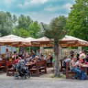 Tip na výlet do největšího DinoParku v ČR!