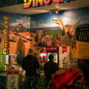 Celoročně otevřený krytý DinoPark najdete v Liberci!