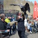 Hauenštejn neboli Horní hrad se nachází v romantickém prostředí krásné přírody