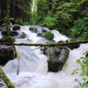 Vyšší Brod – pokladnice kulturních a přírodních krás