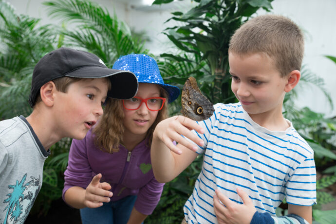 Mini Zoo a Motýlí dům Diana. Foto: ©Živý kraj