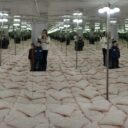 Kouzelná zrcadla pod Bratislavským hradem