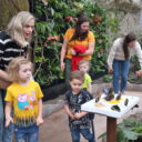 Foto: ©Papilonia - motýlí dům Liberec