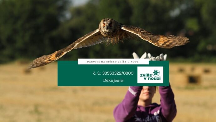 Foto: ©Zvíře v nouzi