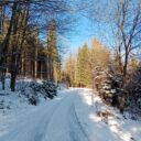 Krajina obce Dolní Lomná. Foto © Lucie Stašová1.j