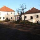 skvorec_-0f7.jpg