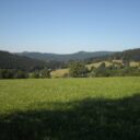 uzivatele-brezinycboxcz-breziny-cervenec-2010-024_1.jpg