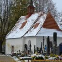 uzivatele-kazdovka-mlada_vozice_.jpg