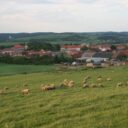 uzivatele-pechlen-liten-img_2714_1.jpg