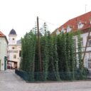 uzivatele-vlasta79-zatec-2011-07-06-zatec-09-_1.jpg