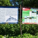 Zřícenina hradu Košťálov -Třebívlice. Foto Alžběta Seidlová (2)