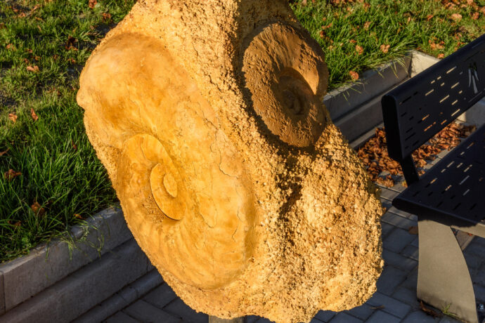 Bohuslavice nad Metují